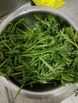元气打卡第一天