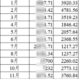 2019年复盘：结余率71.86%，2020年计划：还清负债