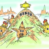 【熊太太养基】12｜熊太太原创的流氓选鸡法