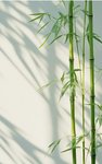 那个拥🈶300W现金流的身边人过着什么样的生活？