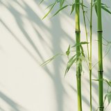 那个拥🈶300W现金流的身边人过着什么样的生活？