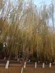 11月还债目标实现