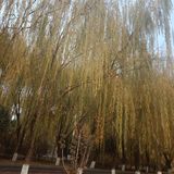 11月还债目标实现