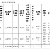 中旗新材，人造石英石龙头，即将发债