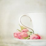 最大的差距：一杯“星巴克”而已