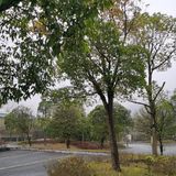1月，再见