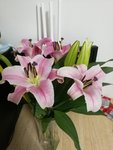 情人节窝家里