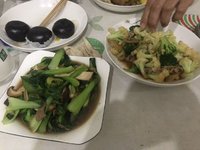 养生