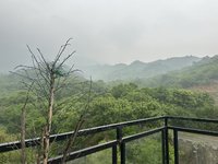 端午小记——郊区静谧游