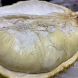 养生打卡day14