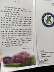 匆匆