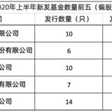 牛市中的新发基金什么时候值得买？