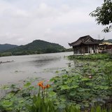 没有副业