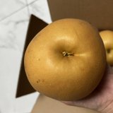 秋天的第一份礼物：秋月梨