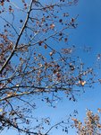 2019最后一天，记录一下。