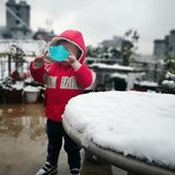Day2 鼠你最好看