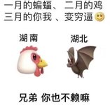 突如其来的黑马
