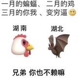 突如其来的黑马