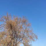 旧时的家乡