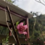 前几天天气好，爬山拍的