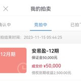 续投
