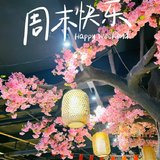 养生打卡第26天，周末快乐呀