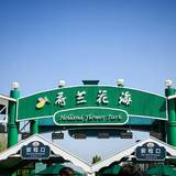 盐城3日游记录（迟到的游记）