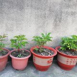 4月，再见