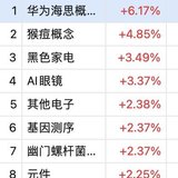 思创止盈  严牌日内