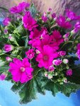 春暖花开