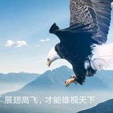 运动20191221