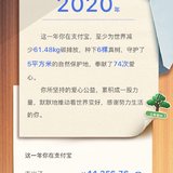 2020支付宝帐单