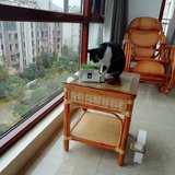 撸猫，追剧