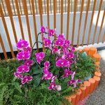 10月，再见