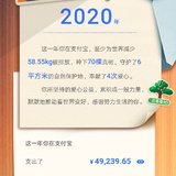 2020年支付宝账单