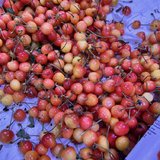 夏季的馈赠：缤纷水果