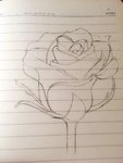 色铅笔-玫瑰