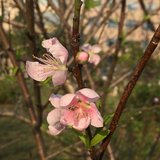 #早安，晨型人#3月21日打卡专贴