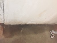【灾民日记】意料之外的漏水事件——直播