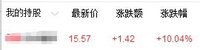 持股终于有只涨停了