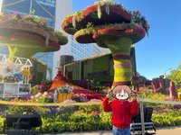 国庆大花坛和最美中轴线