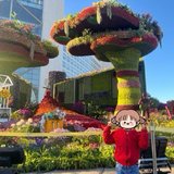国庆大花坛和最美中轴线