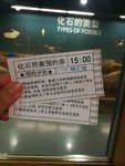 上海拖老携小旅游记录(博物馆，大学，古镇，迪士尼)