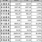 2021年1月支出：43863.77元