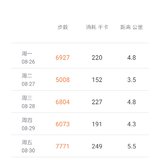 【雪桐】2019年第35/52周总结及下周计划