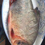 格格美食——红烧鲳鱼