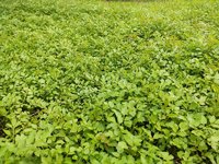 再见，5月！
