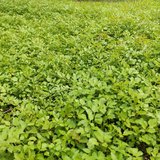 再见，5月！