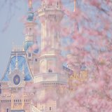 三月再见