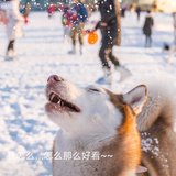 运动20191120